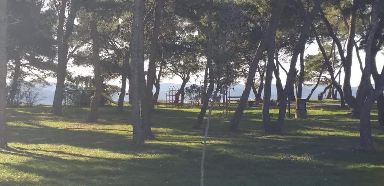 Apartman Petar Lejlighed Zadar Eksteriør billede